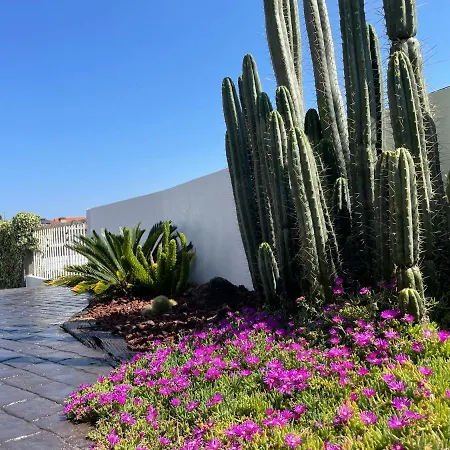 Casa De Los Cactus