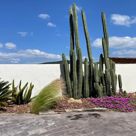 Casa De Cactus * Vigo