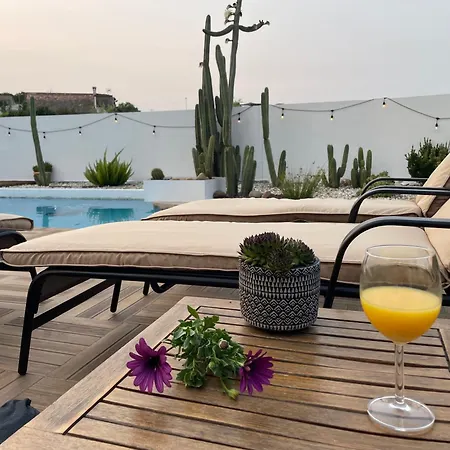 Casa De Cactus Vigo